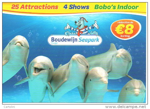 Dolfijnen Dauphins Delphines  Boudewijn Seapark   Brugge Bruges  Reclame Publicité - Altri & Non Classificati
