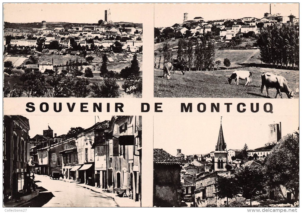 46-MONTCUQ- MULTIVUE - Montcuq