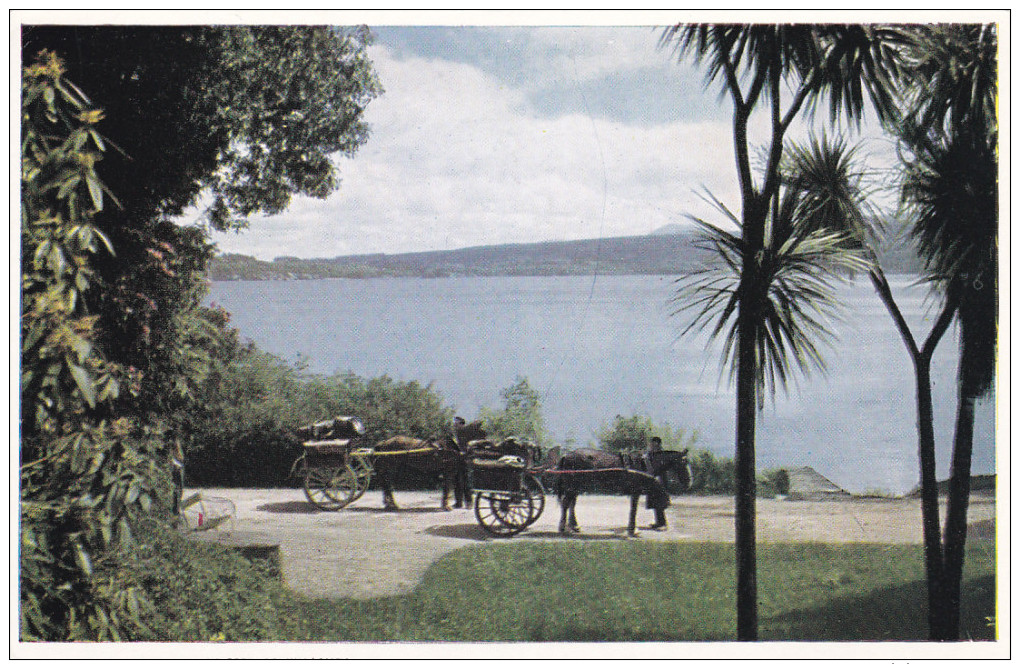 KILLARNEY, Ireland, 1940-1960's; The Lake From Dinis Cottage, Horse Carriages - Other & Unclassified