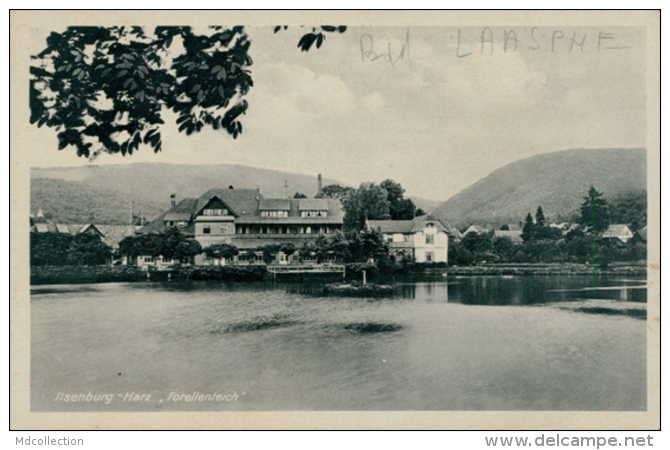 DE BAD LAASPHE / Jilsenburg Harz, Forellenteich / CARTE GLACEE - Bad Laasphe