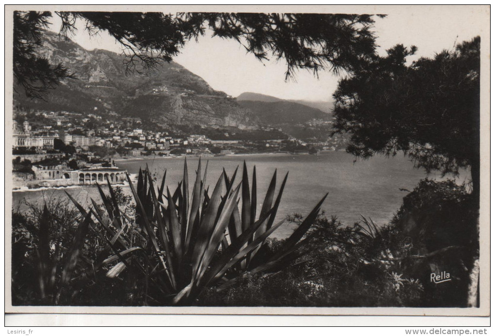 CPA - PHOTO - MONTE CARLO - VU DES JARDINS DE MOANCO - 333 - RELLA - Monte-Carlo