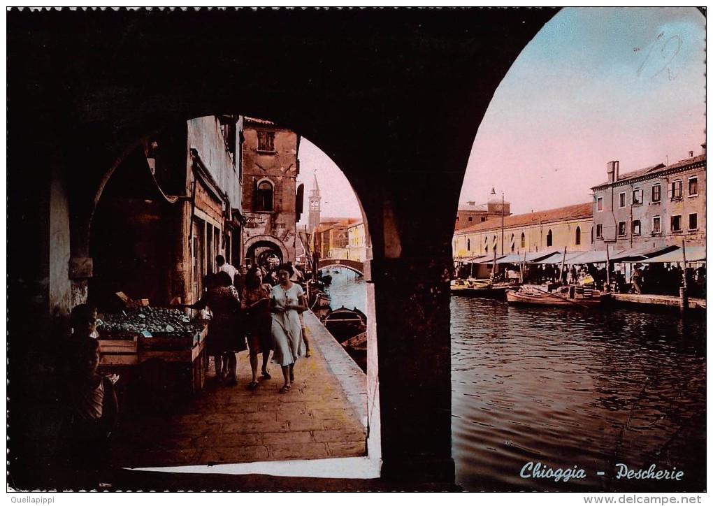 04578 "CHIOGGIA - PESCHERIE"  ANIMATA, BARCHE. CART  SPED 1954 - Pesca