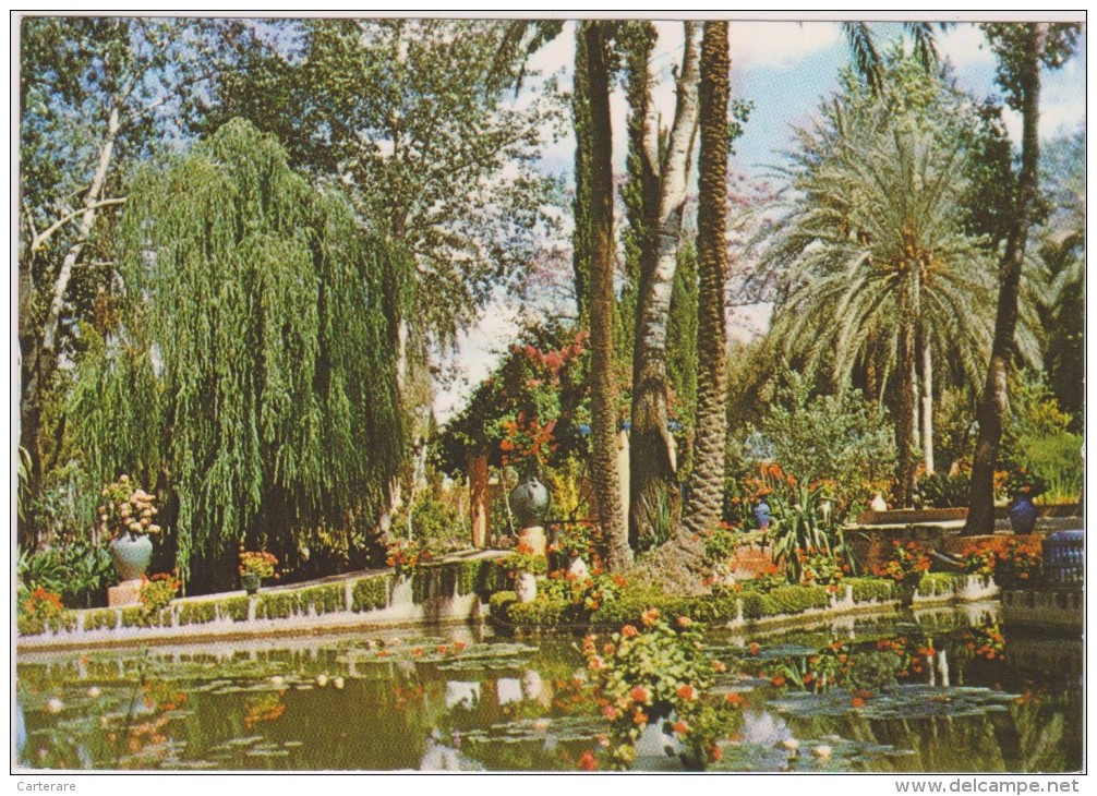 AFRIQUE,AFRICA,AFRIKA,MAROC,MOROCCO,MAGHREB,MARRAKECH,JARDIN  EXOTIQUE - Marrakech