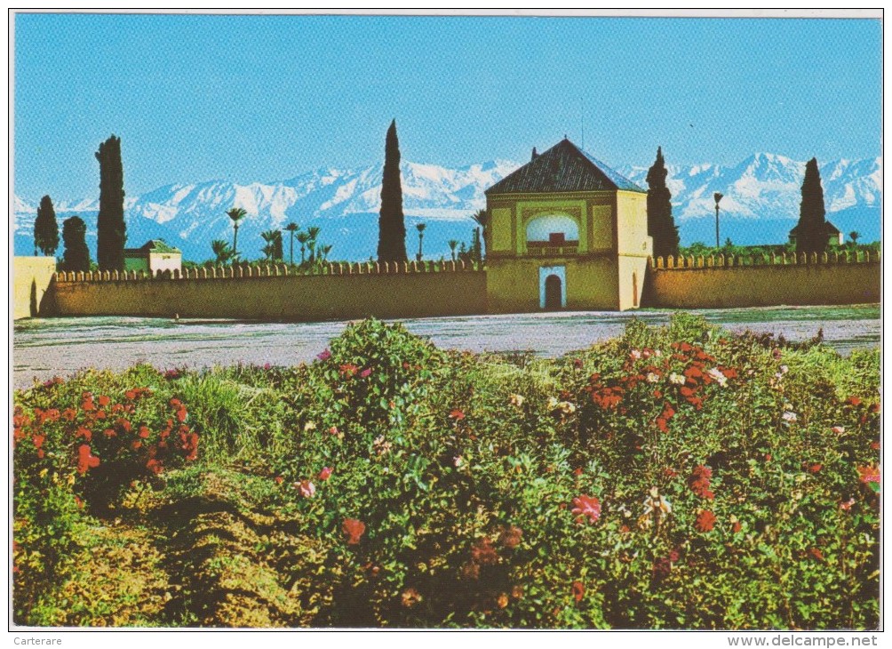 AFRIQUE,AFRICA,AFRIKA,MAROC,MOROCCO,MAGHREB,MARRAKECH,JARDIN AGUEDAL - Marrakech