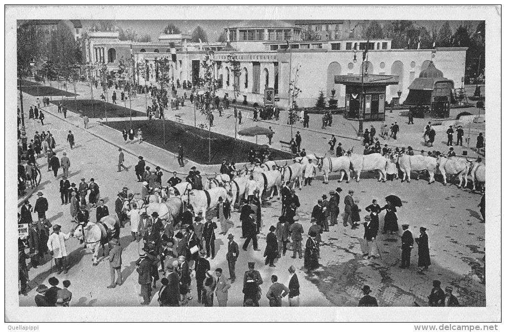 04609 "LA PAZ - FOIRE EXPOSITION INTERNATIONALE D'ECHANTILLONS DE MILAN" ANIMATA, TORI. CART  SPED 1929 - Bolivië