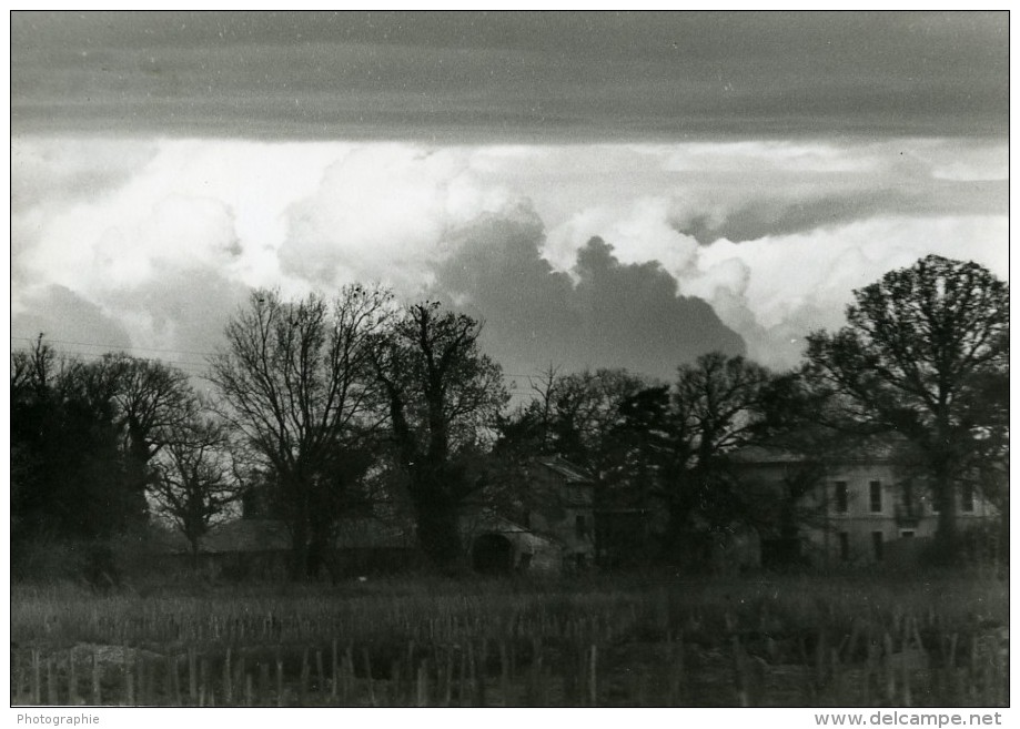 France Camargue Paysage Nuageux Photographie Amateur Des Années 1970 - Other & Unclassified