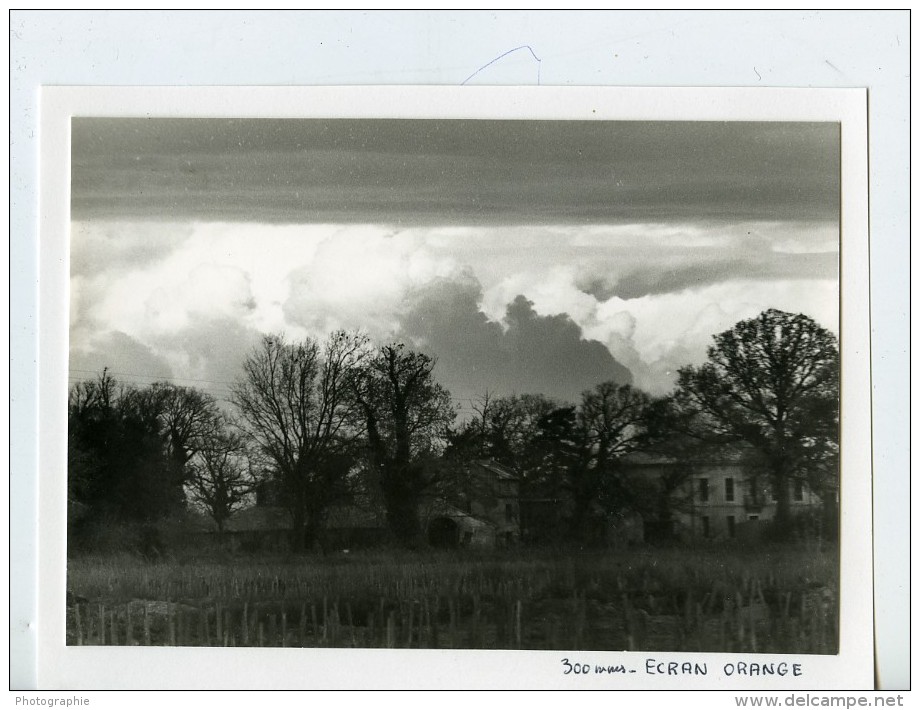 France Camargue Paysage Nuageux Photographie Amateur Des Années 1970 - Other & Unclassified