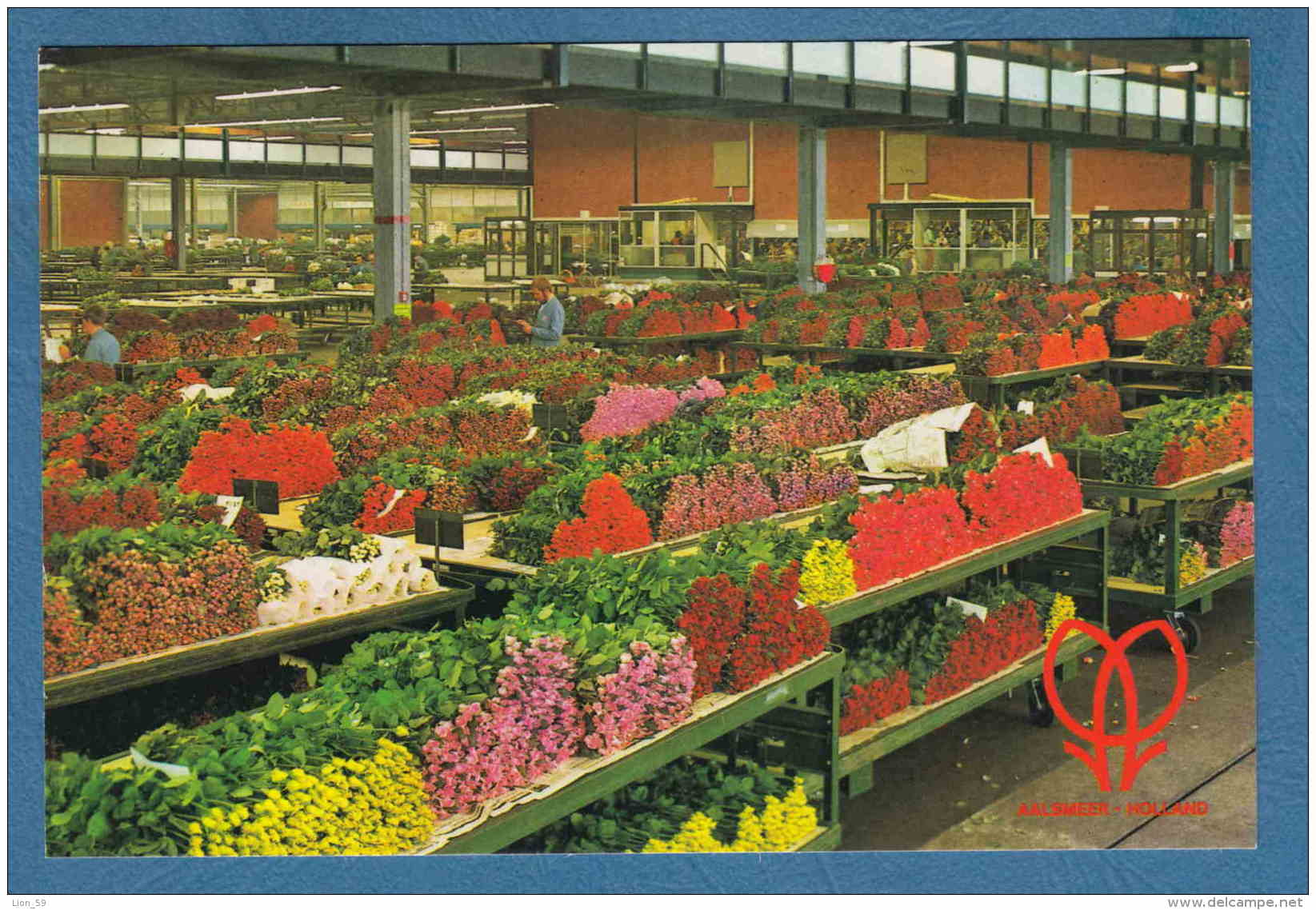 214334 / Aalsmeer - CUTFOWER SECTION UNITED FLOWER MARKETS - Netherlands Nederland Pays-Bas Paesi Bassi Niederlande - Aalsmeer