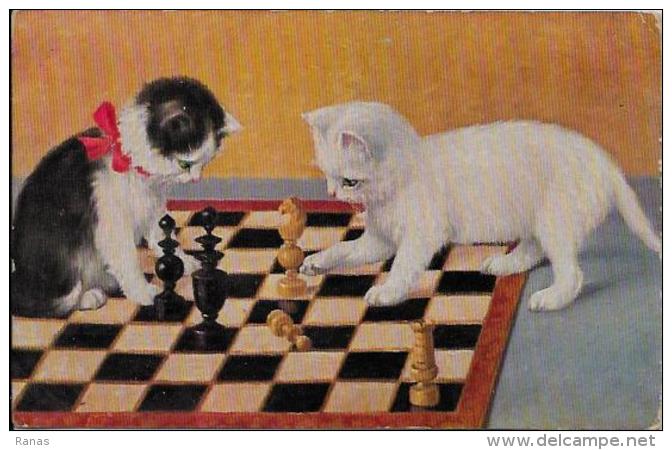 CPA Jeu échecs Chess Non Circulé Chat Cat écrite - Echecs