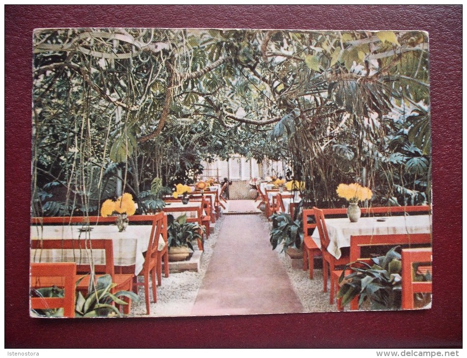 GERMANY / LORCH / WALDKAFFEE MUCKENSEE / WINTERGARTEN / 1973 - Lorch