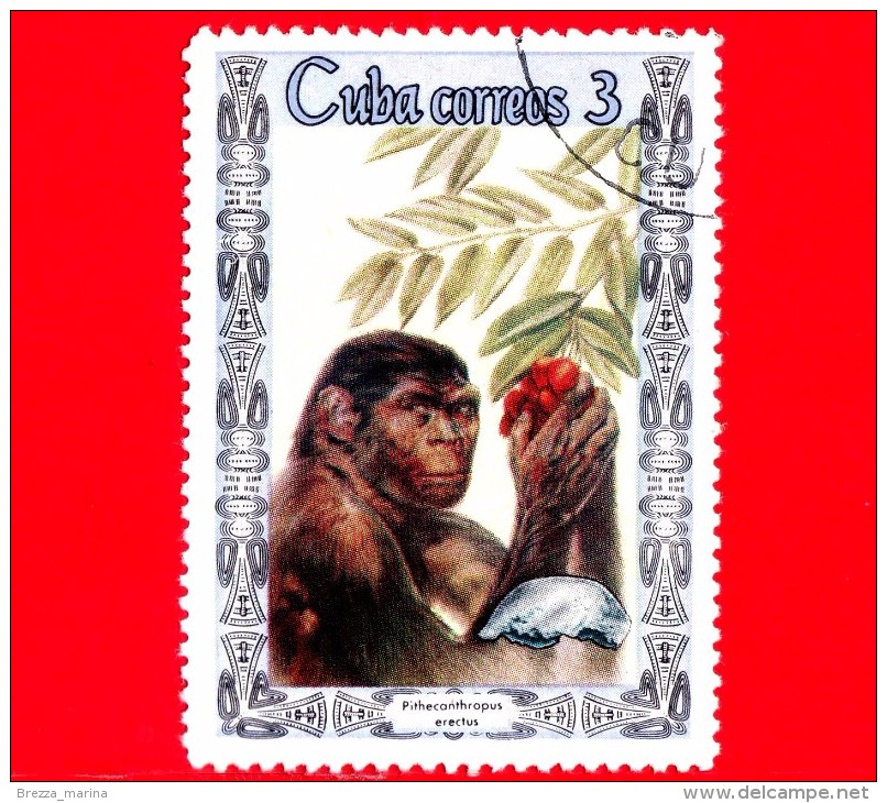 Nuovo - CUBA - 1967 - Preistoria - Evoluzione Dell'uomo - Pithecanthropus Erectus - 3 - Neufs