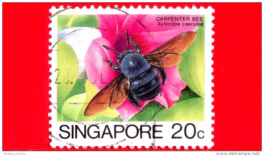SINGAPORE - Usato - 1985 - Insetti - Carpenter Bee (Xylocopa Caerulea) - 20 - Singapore (1959-...)