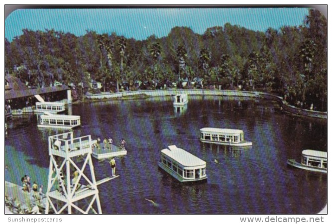 Florida Silver Springs Glass Bottomed Boats - Silver Springs