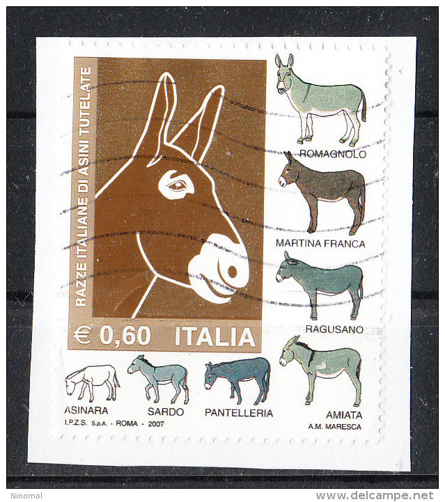 Italia   -   2007. Razze Italiane Asinine. Italian Breeds Of Donkeys. Self Adhesiv - Asini