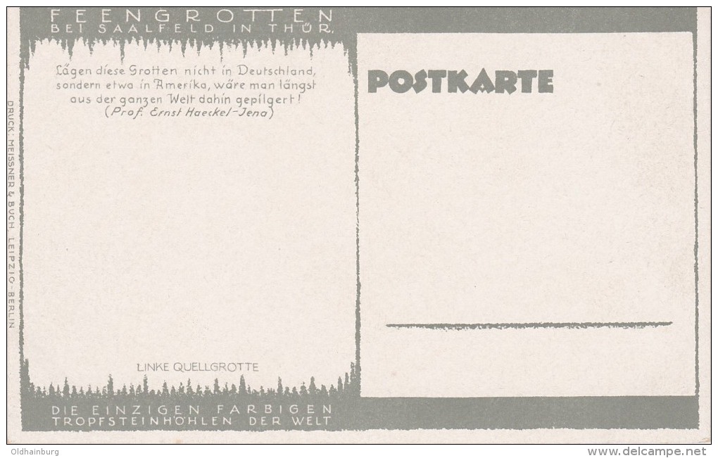 4059o: AK Künstlerkarte Feengrotten Bei Saalfeld, Ungelaufen, RR - Saalfeld