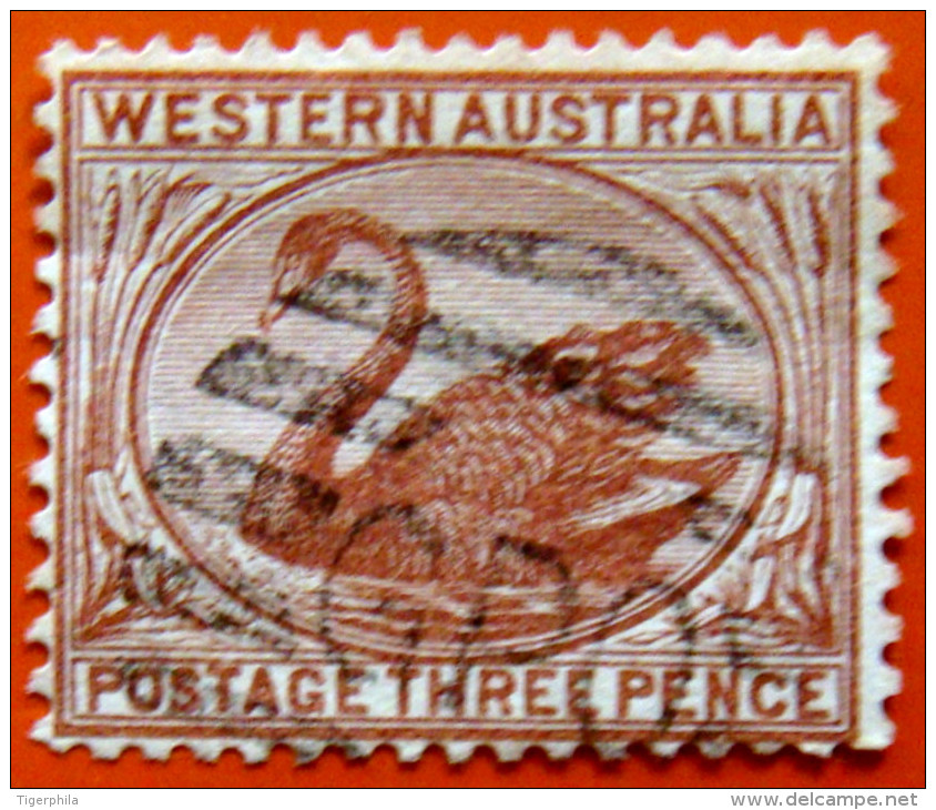 WESTERN AUSTRALIA 1882 3d Swan Used Scott53a CV$4 Watermark : Crown & CA - Oblitérés