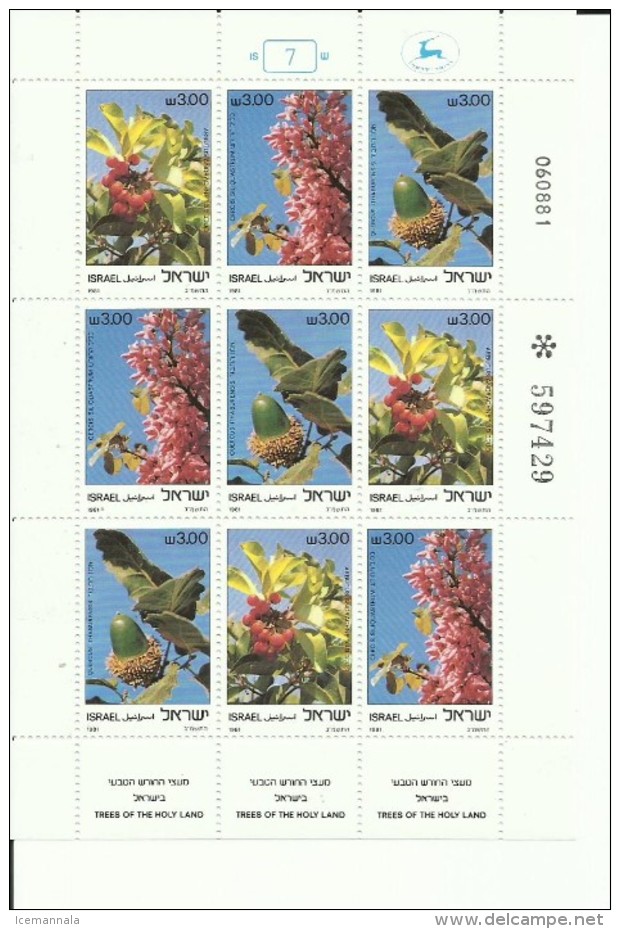 ISRAEL YVERT H/B 813/15   MNH  ** - Hojas Y Bloques