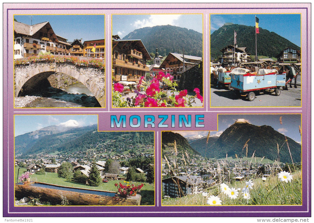 MORZINE MULTIVUES (dil248) - Morzine