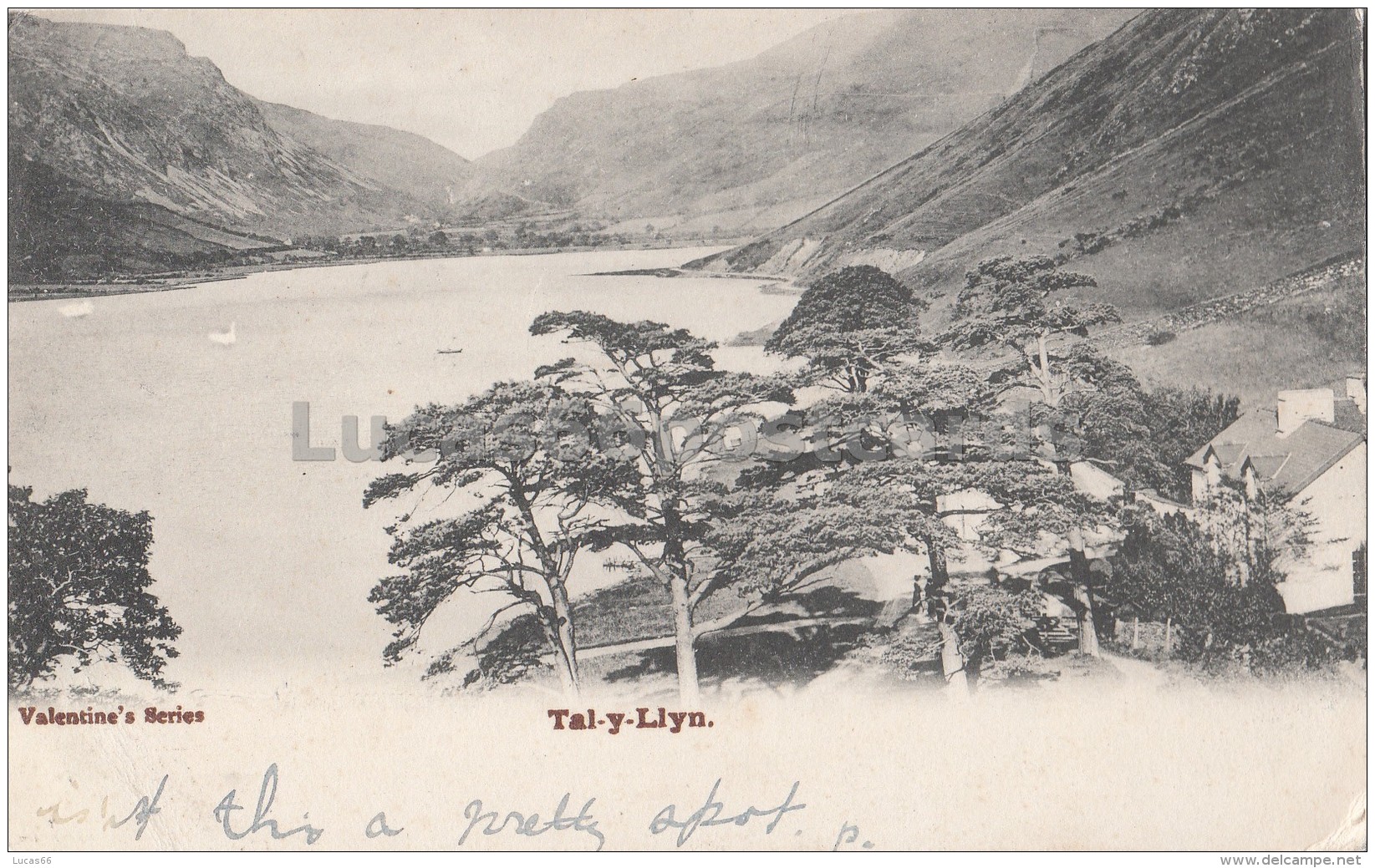 Tal-y-Llyn Lake - Unknown County