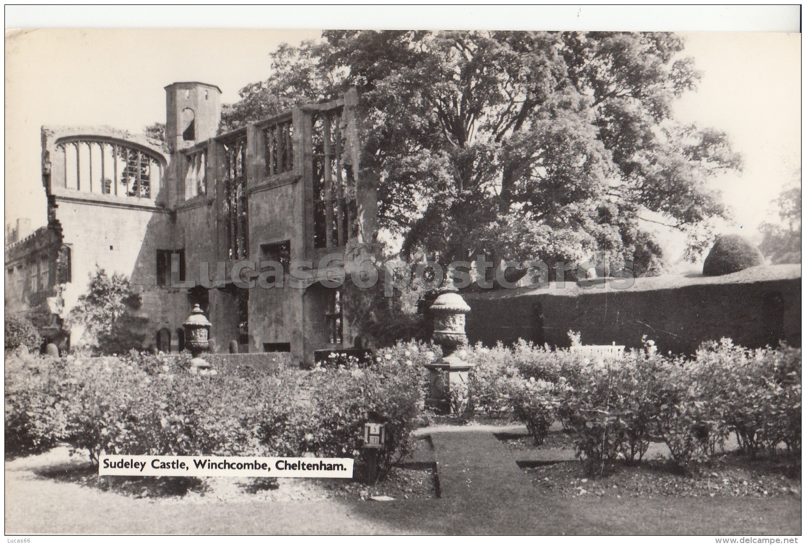 Sudeley Castle - Winchcombe - Cheltenham - Cheltenham