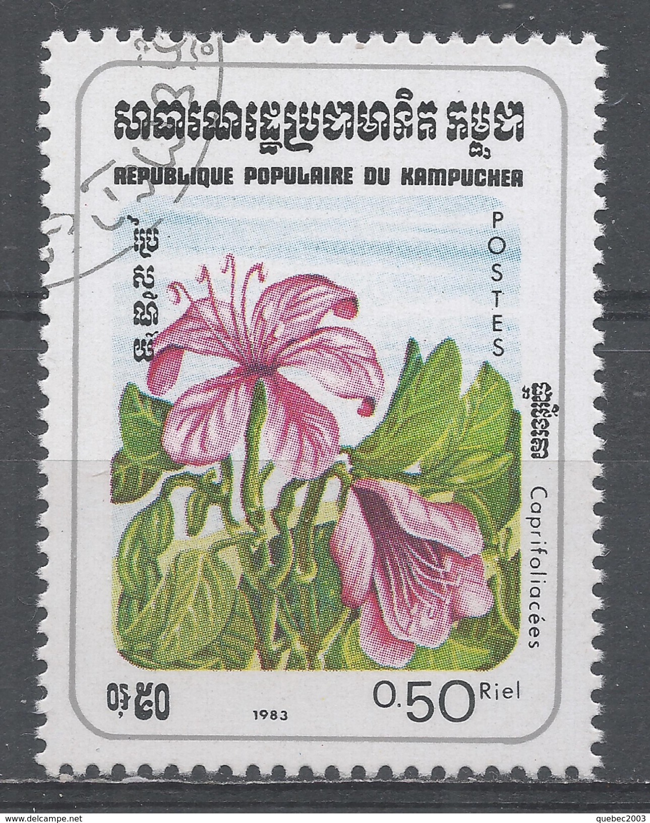 Cambodia (Kampuchea) 1983. Scott #435 (U) Flowers, Caprifoliacae - Kampuchea