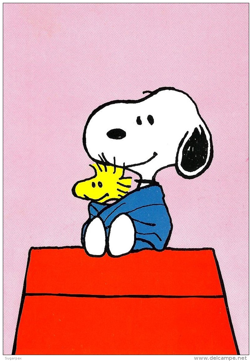 SNOOPY &amp; Woodstock - Peanuts Hallmark - Illust. Schulz - Portugal - Altri & Non Classificati