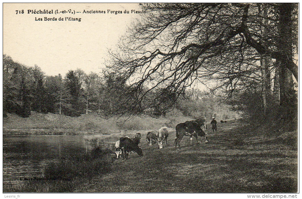 CPA - PLECHATEL - ANCIENNES FORGES DE PLESSIX - LES BORDS DE L'ETANG - 718 - - Otros & Sin Clasificación