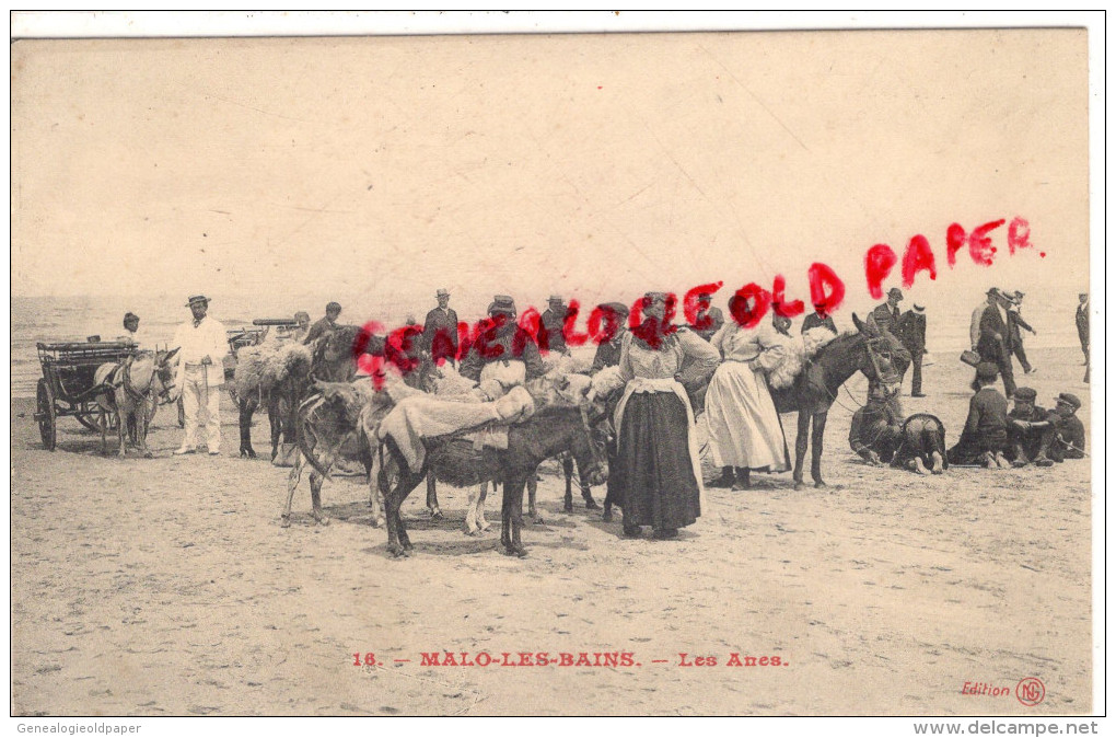 59 - MALO LES BAINS - LES ANES   ANE - Malo Les Bains