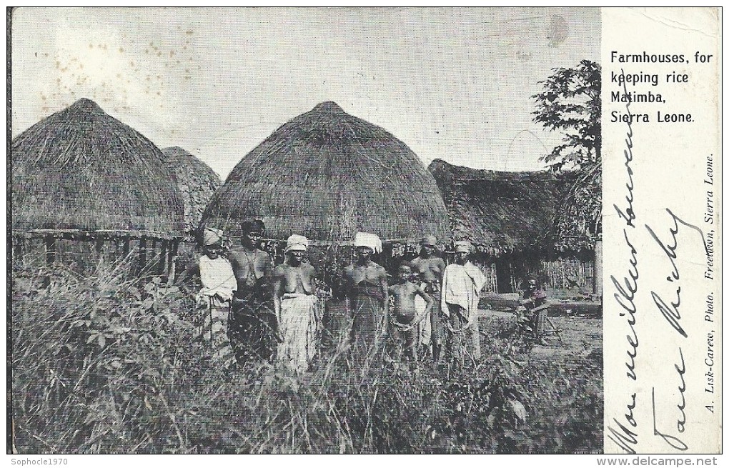 AFRIQUE - SIERRA LEONE - MATIMBA - Groupe D'indigènes - Sierra Leone