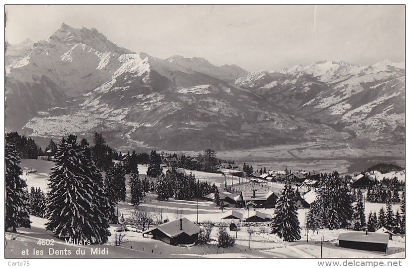 Suisse - Villars Sur Ollon - Panorama - 1950 - Ollon