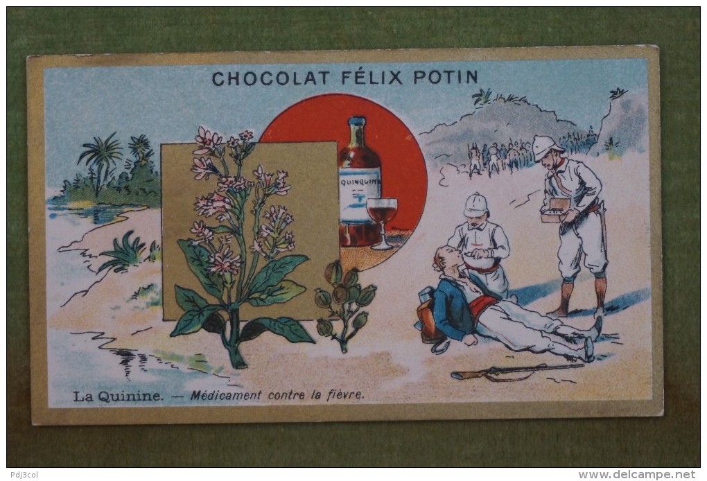 Félix POTIN - Chromo Sujet Botanique - Nature - La Quinine - Médicament Contre La Fièvre - Imp Champenois - Other & Unclassified