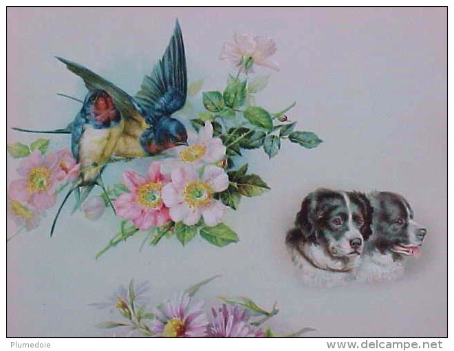 CHROMO XIX ° CHAT BLANC OISEAUX CHIENS , FLEURS , Old , WHITE CAT , DOGS  FLOWERS KATZE  Recto Verso  Prix Fixe - Tiere