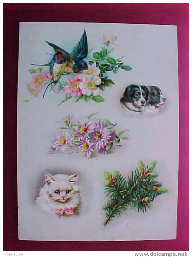 CHROMO XIX ° CHAT BLANC OISEAUX CHIENS , FLEURS , Old , WHITE CAT , DOGS  FLOWERS KATZE  Recto Verso  Prix Fixe - Animals