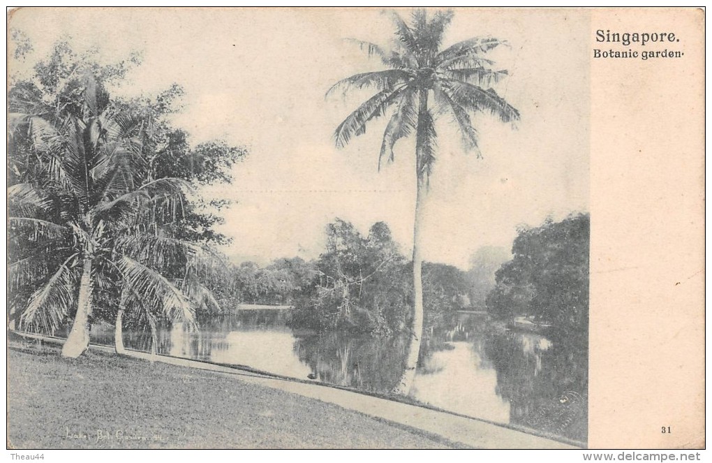 ¤¤  -   31   -   SINGAPORE   -   Botanic Garden    -  ¤¤ - Singapore