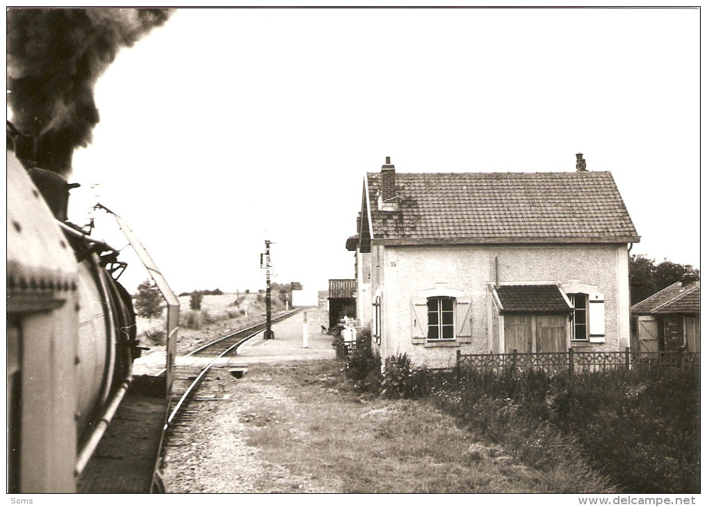 Photographie De Train, Le Train Paris-Le Tréport En Gare De Grez-Gaudechart (60), Photo Dahlström De 1965, Loco 141R - Trains