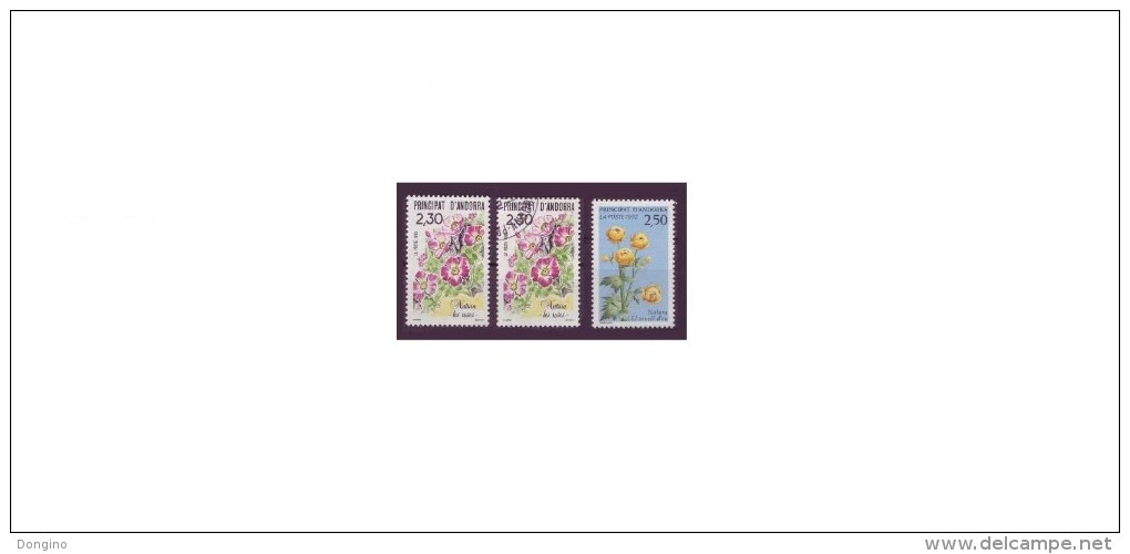 A055. Andorra (OF) / Andorre (BF) / Flore / Flora / Flowers / Fleurs / Flores - Unused Stamps