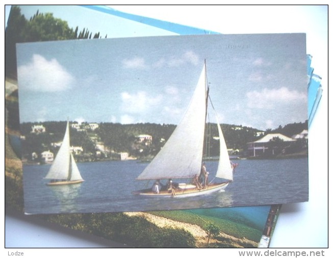 Bermuda Hamilton Harbour With Sailing Boats - Bermuda