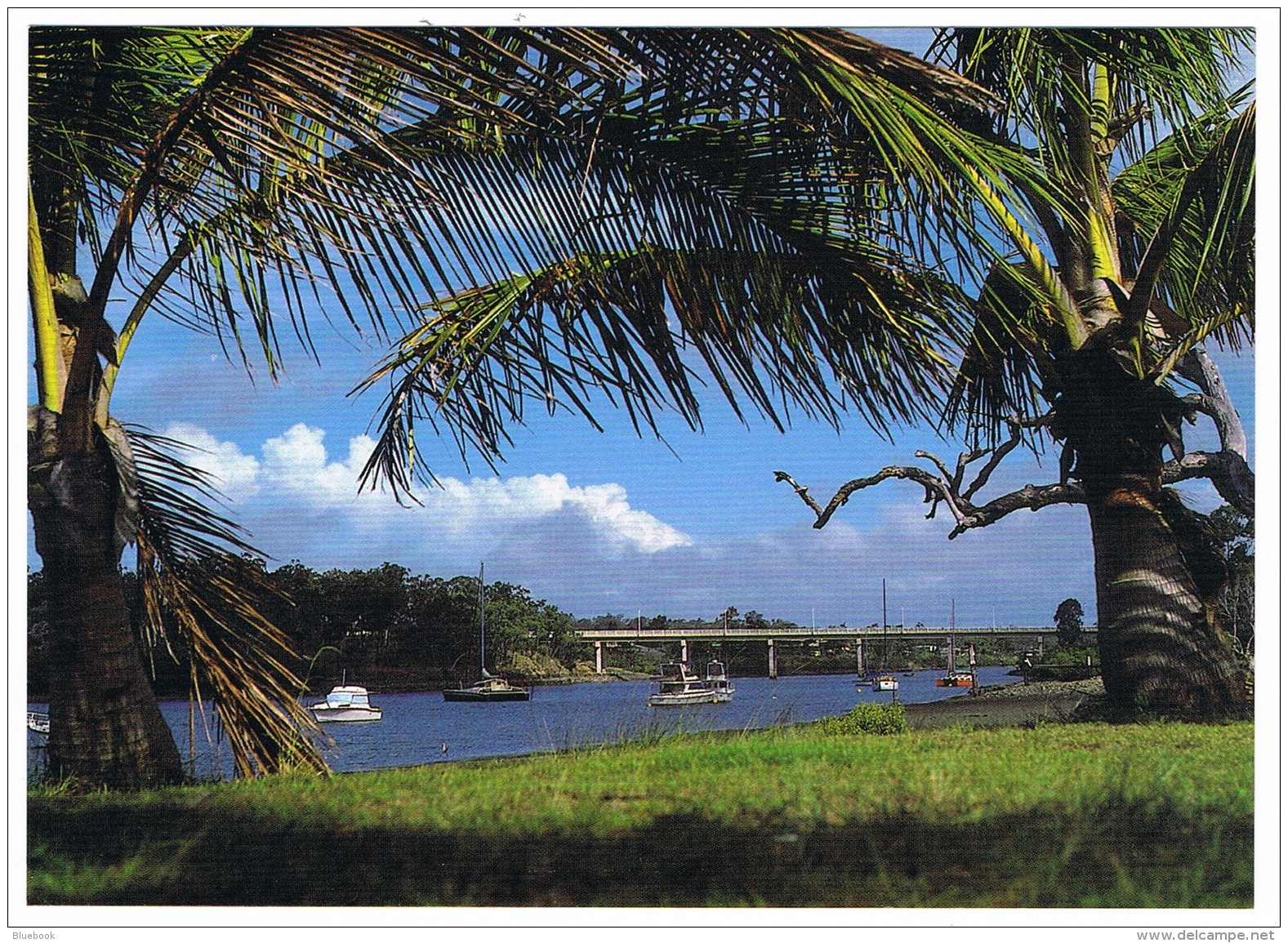 RB 1105 - Australia Postcard - Boyne Boat Harbour - Queensland - Autres & Non Classés