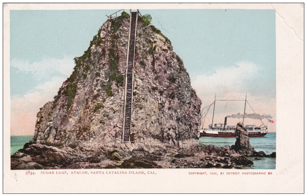 Avalon , Catalina Island, California , 1902 ; Sugar Loaf - Other & Unclassified