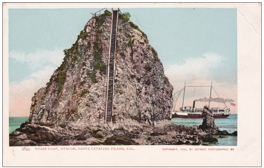 Avalon , Catalina Island, California , 1902 ; Sugar Loaf - Autres & Non Classés