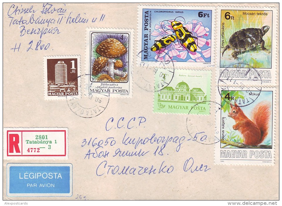 HUNGARY 1990. REGISTERED AIR LETTER To UKRAINE. Cover Franked By Nice Commemorative Stamps TURTLE, MUSHROOMS, SQUIRREL - Brieven En Documenten