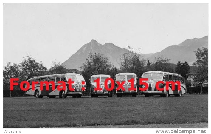 Reproduction D'une Photographie De 4 Anciens Bus Saurer Garés De Face Sur De La Pelouse - Altri & Non Classificati