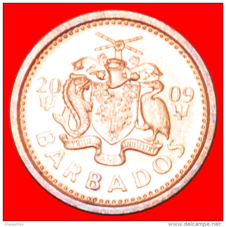 § TRIDENT: BARBADOS &#9733; 1 CENT 2009 MINT LUSTER! LOW START&#9733; NO RESERVE! - Barbades