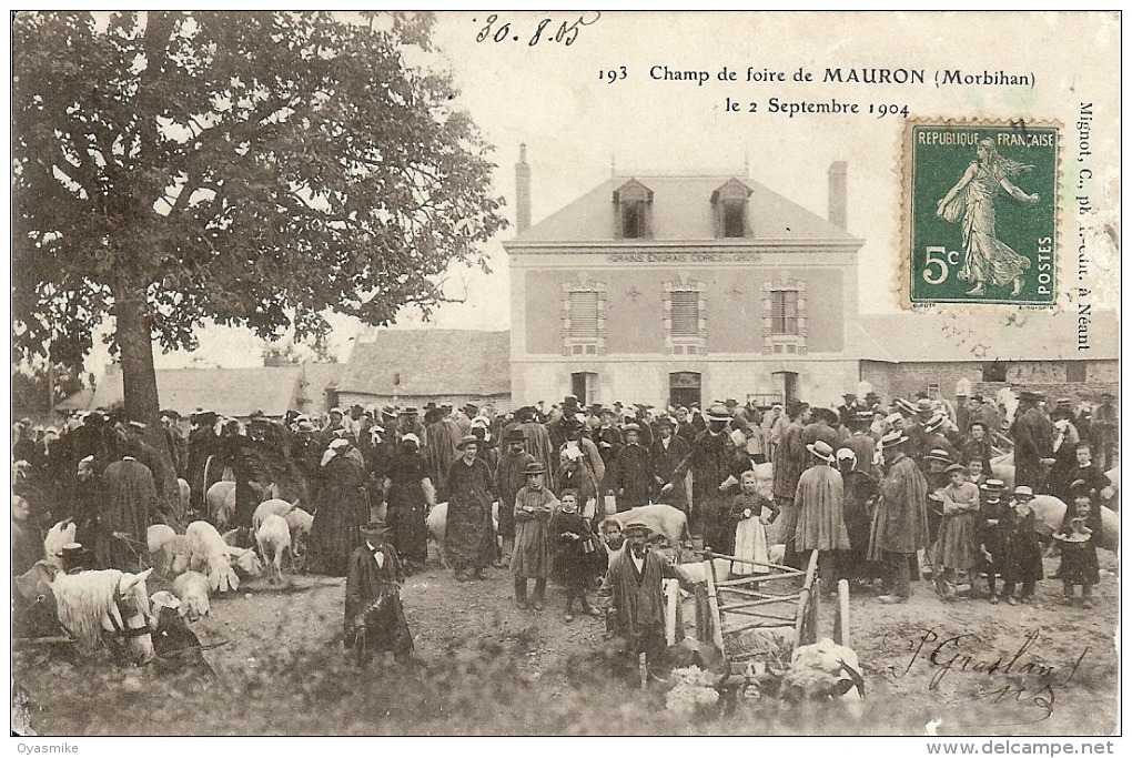 56–Mauron  Le Champ De Foire De Mauron, Le 2 Septembre 1904 - Autres & Non Classés