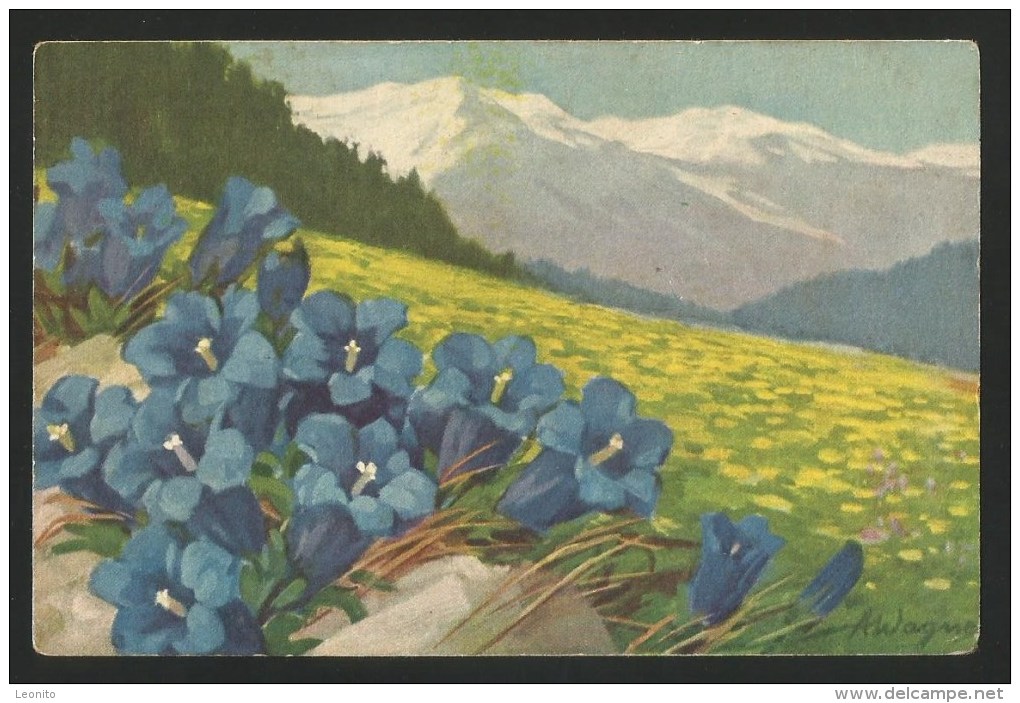 WINTERSINGEN BL Sissach Blumen Enzian Flowers Fleurs 1932 - Sissach