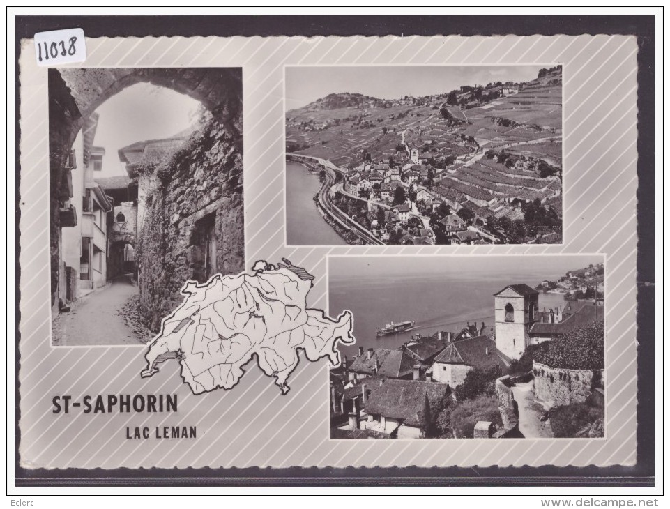 FORMAT 10x15 Cm - DISTRICT DE LAVAUX - ST SAPHORIN - TB - Saint-Saphorin