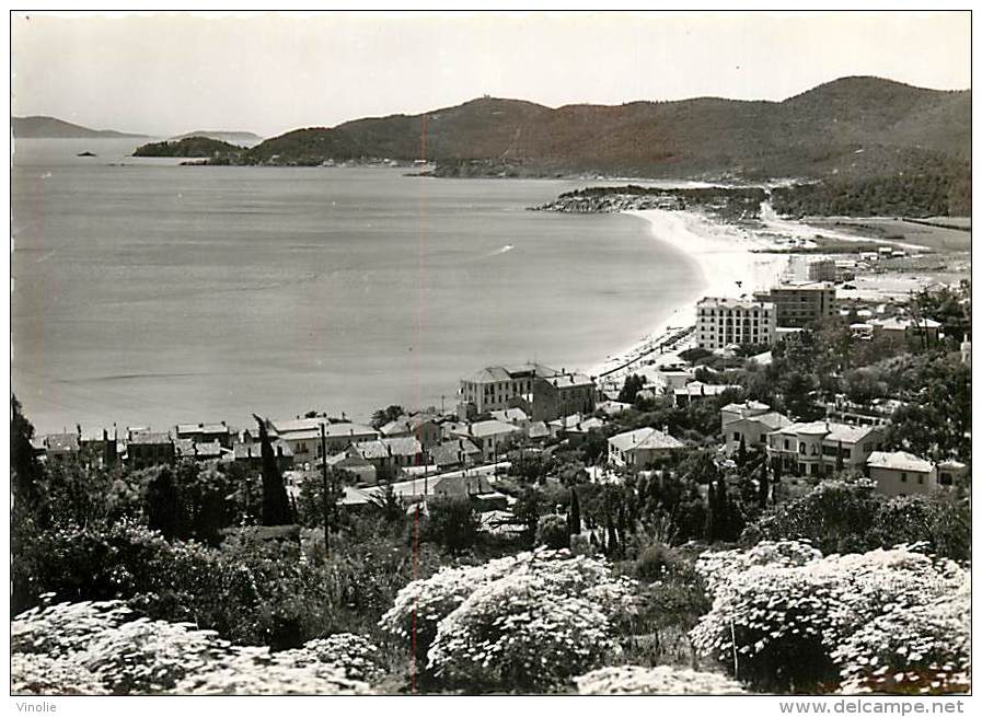 D-16 327 : LE LAVANDOU - Le Lavandou