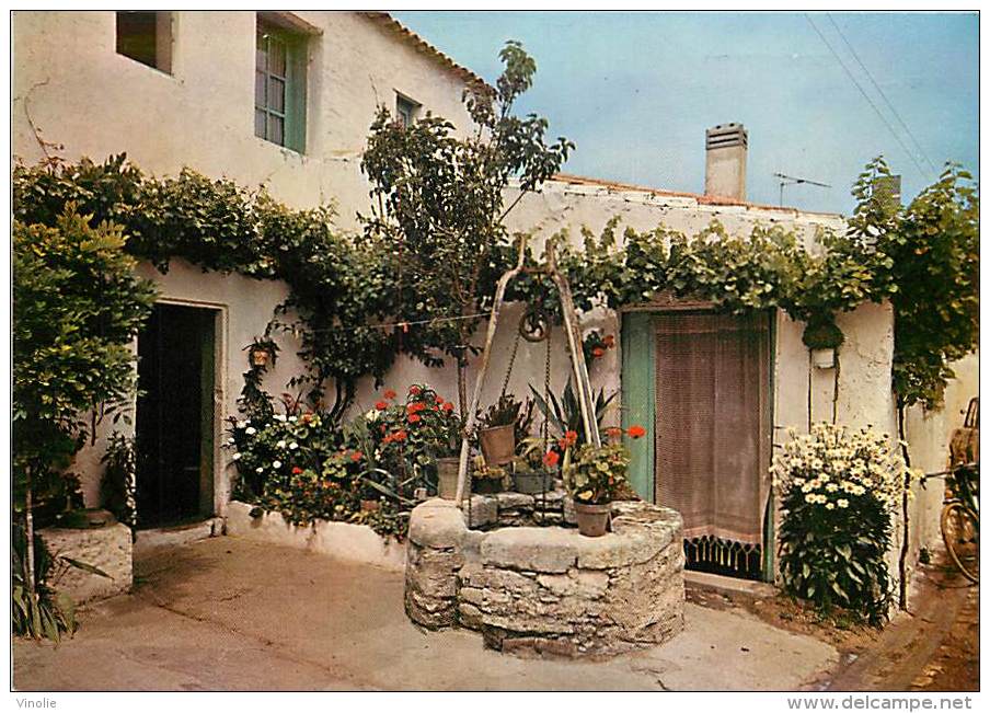 D-16 373 :   ILE D OLERON - Ile D'Oléron