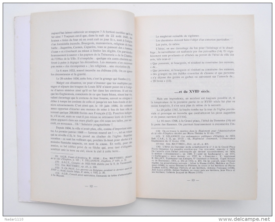 AU FEU - Contribution à L'HISTOIRE Des INCENDIES Et De Leur PRÉVENTION à ENGHIEN Du XVIIe Au XXe Siècle - Y. Delannoy - Belgique