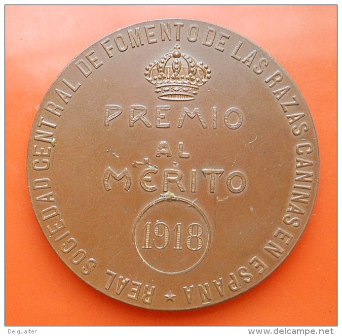 Medal - Exposicion Internacional Canina - Premio Al Merito 1918 - Autres & Non Classés